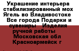 Украшение интерьера стабилизированный мох Ягель во Владивостоке - Все города Подарки и сувениры » Изделия ручной работы   . Московская обл.,Красноармейск г.